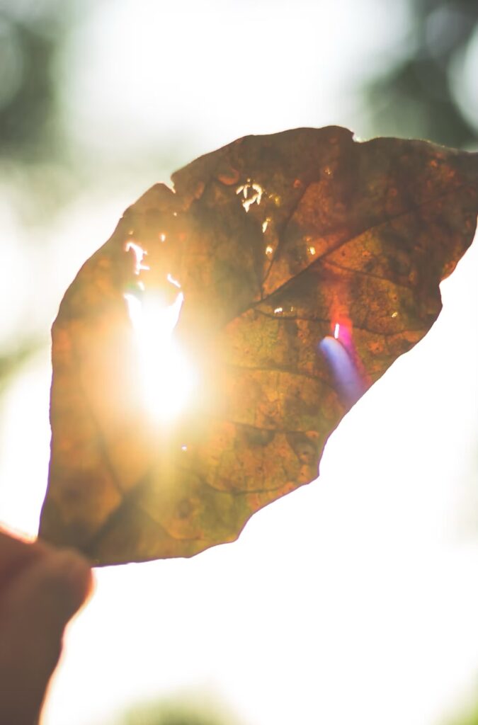 Gujan-Mestras- psychotrauma-burn-out-therapeute